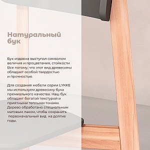 Комплект прямых стульев SKYLAND LYKKE CE-2, антрацит/бук, 48х57х90 см